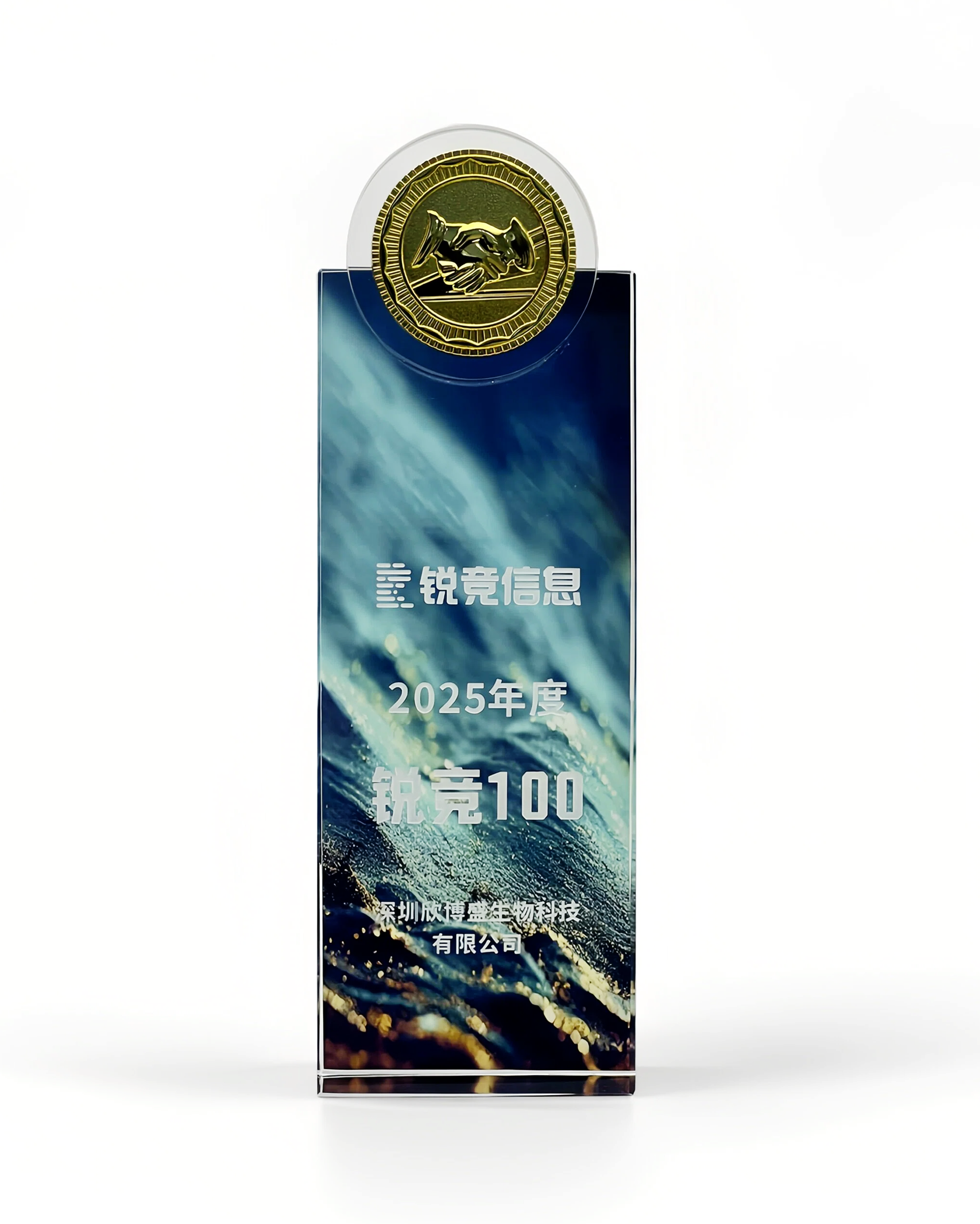 锐竞100（2025年）