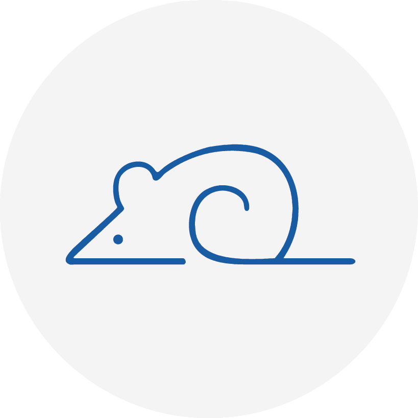 QuantiCyto® Mouse IL-1β ELISA kit (High Sensitivity )