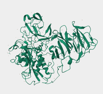 Human MMP-2结构图