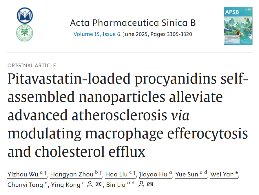 加载匹伐他汀的原花青素